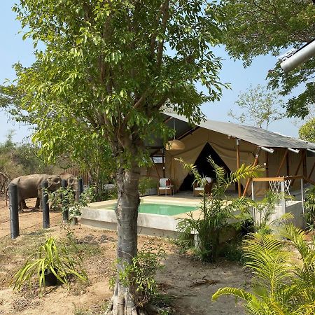 Elephant View Camp Ban Huai Thawai Ngoại thất bức ảnh