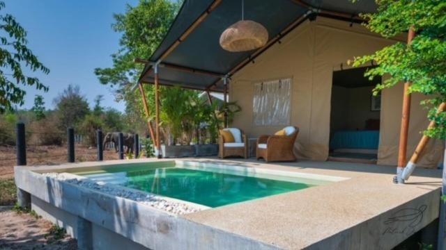 Elephant View Camp Ban Huai Thawai Ngoại thất bức ảnh
