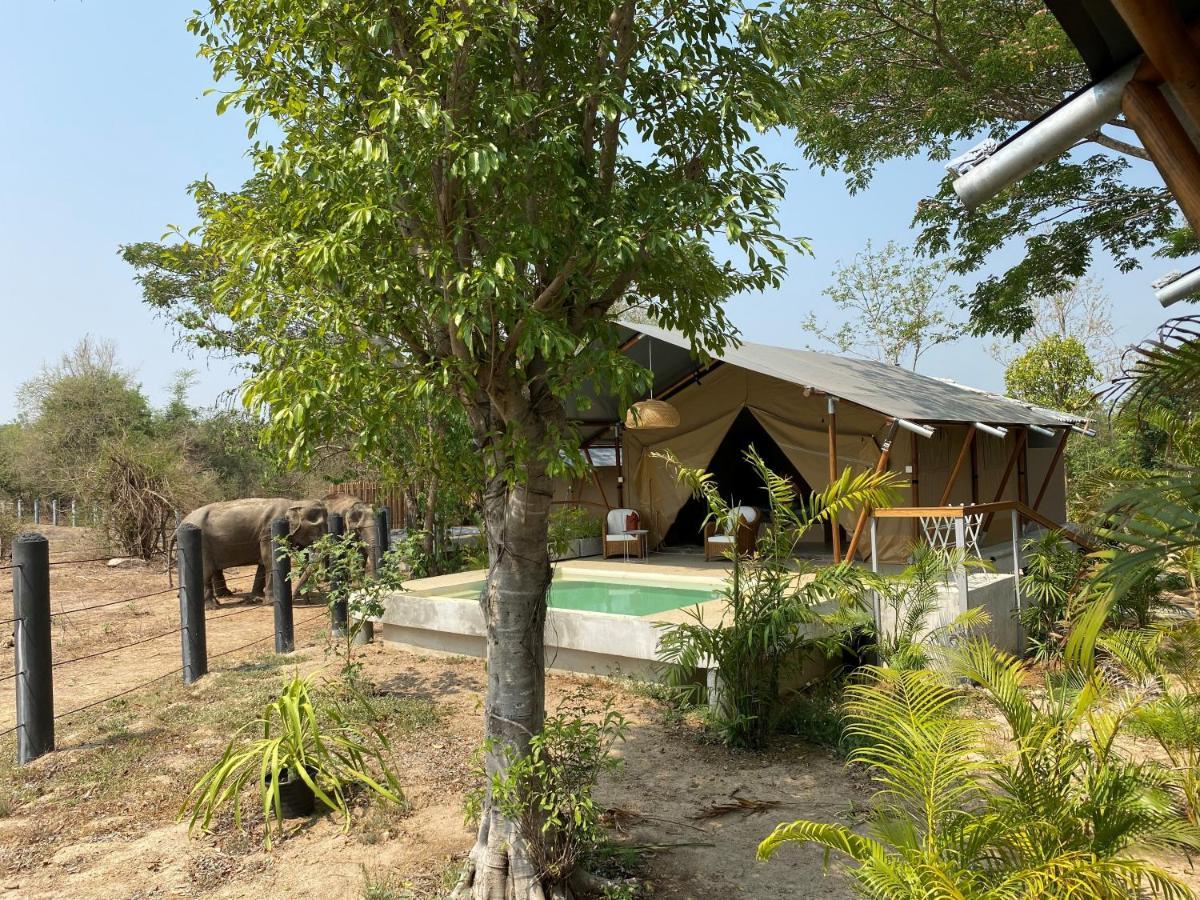 Elephant View Camp Ban Huai Thawai Ngoại thất bức ảnh