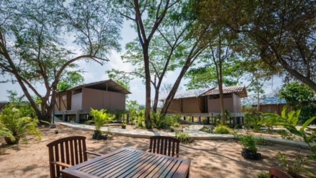 Elephant View Camp Ban Huai Thawai Ngoại thất bức ảnh