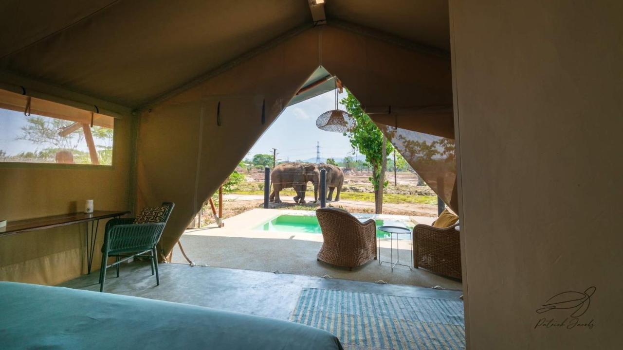 Elephant View Camp Ban Huai Thawai Ngoại thất bức ảnh