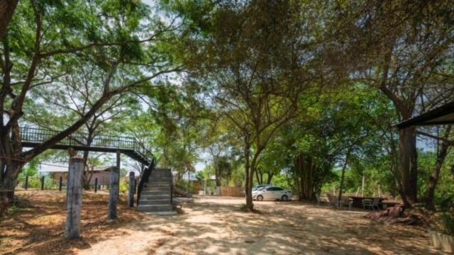 Elephant View Camp Ban Huai Thawai Ngoại thất bức ảnh